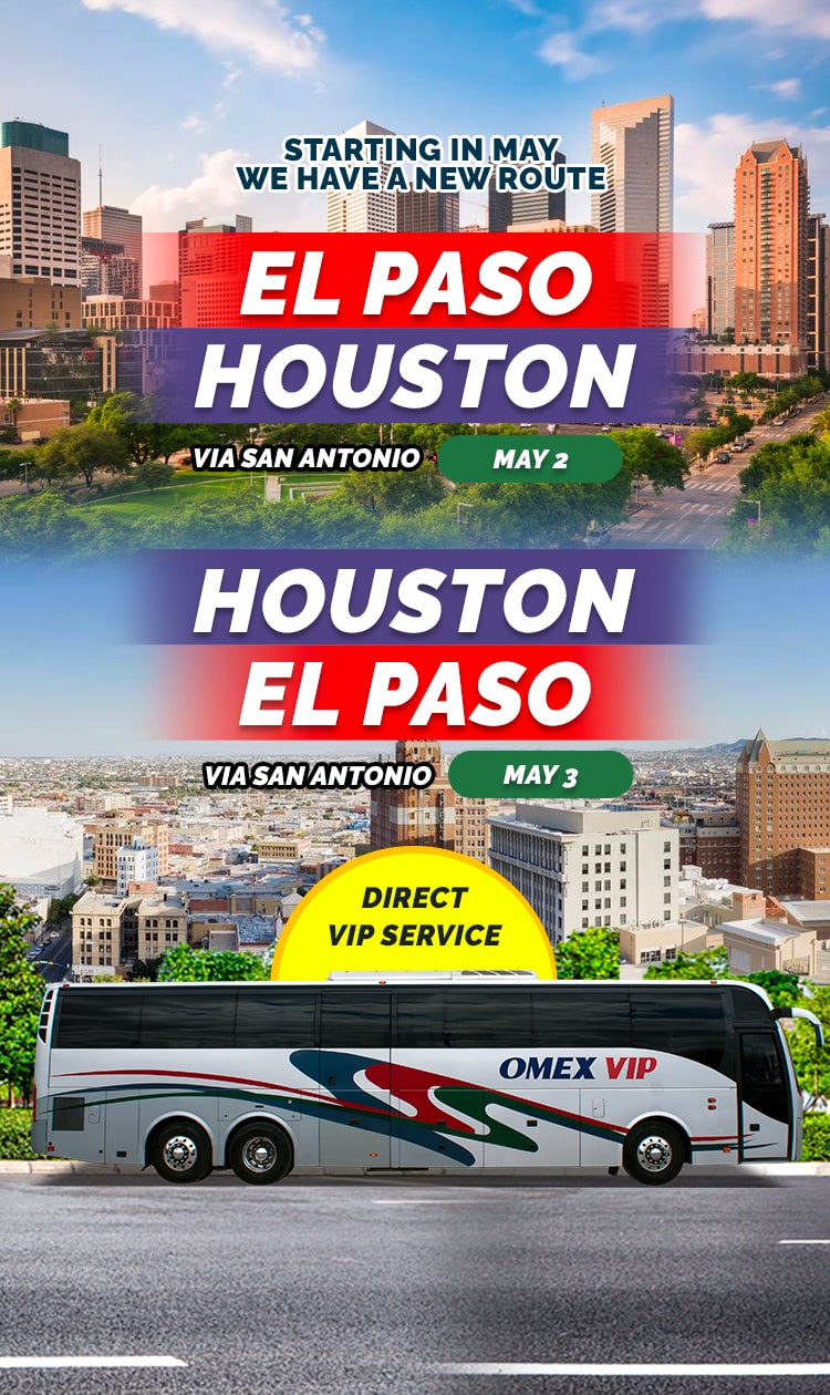 bus tours to mexico from texas